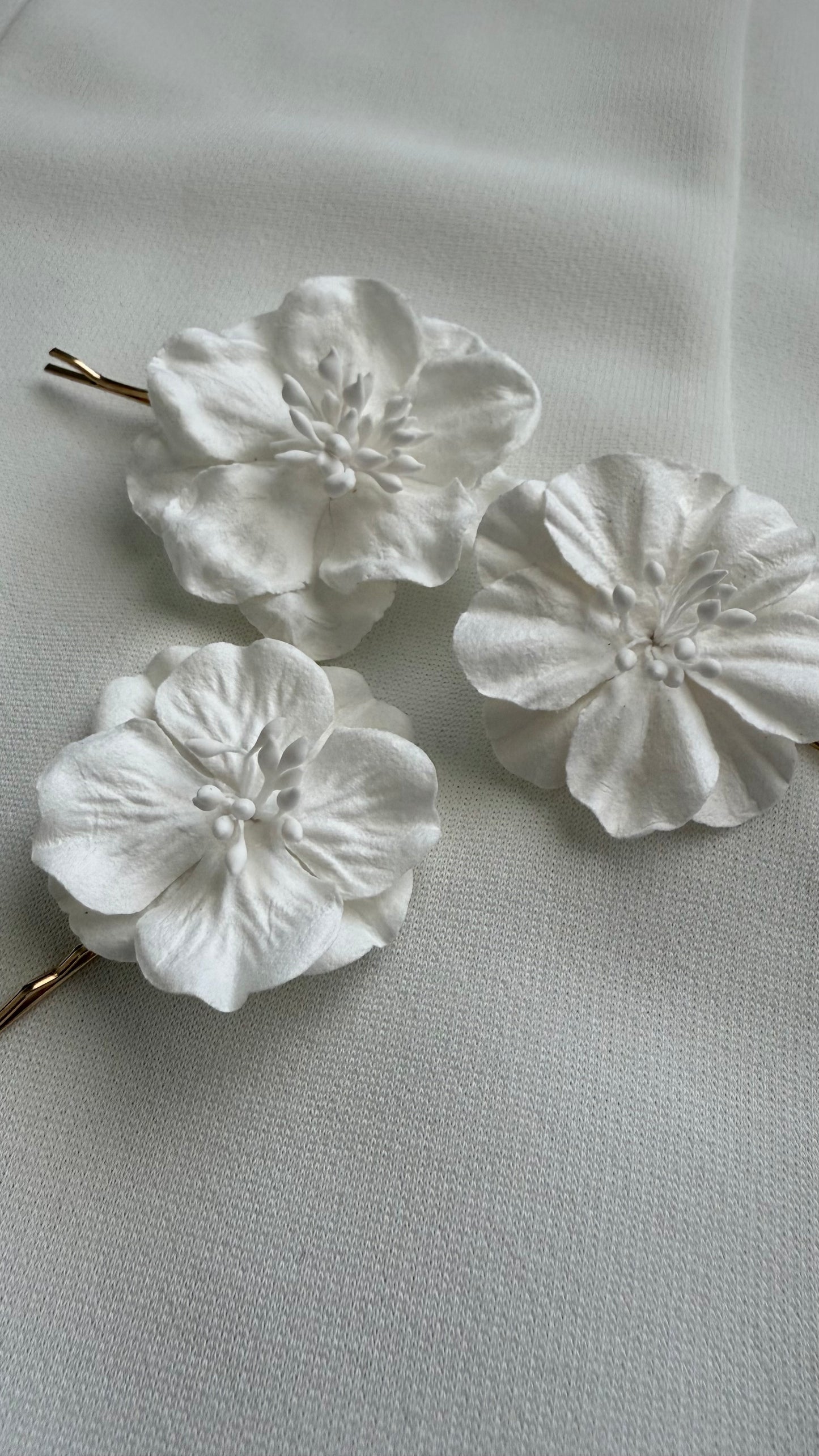 “Ibisco Bianco”
